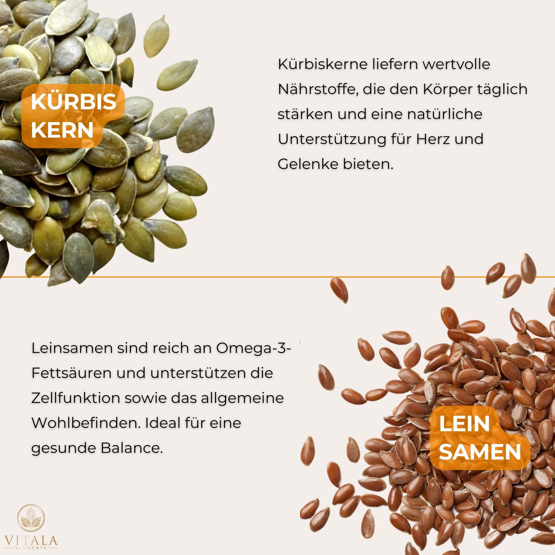 SHIELD+ enthält eine optimale Kombination aus Kürbiskern und Leinsamen, die für ihre positiven Eigenschaften auf das Immunsystem und die Herzgesundheit bekannt sind. Diese pflanzliche Nahrungsergänzung bietet eine natürliche Quelle von Omega-3-Fettsäuren, Antioxidantien und entzündungshemmenden Nährstoffen für ganzheitliches Wohlbefinden.