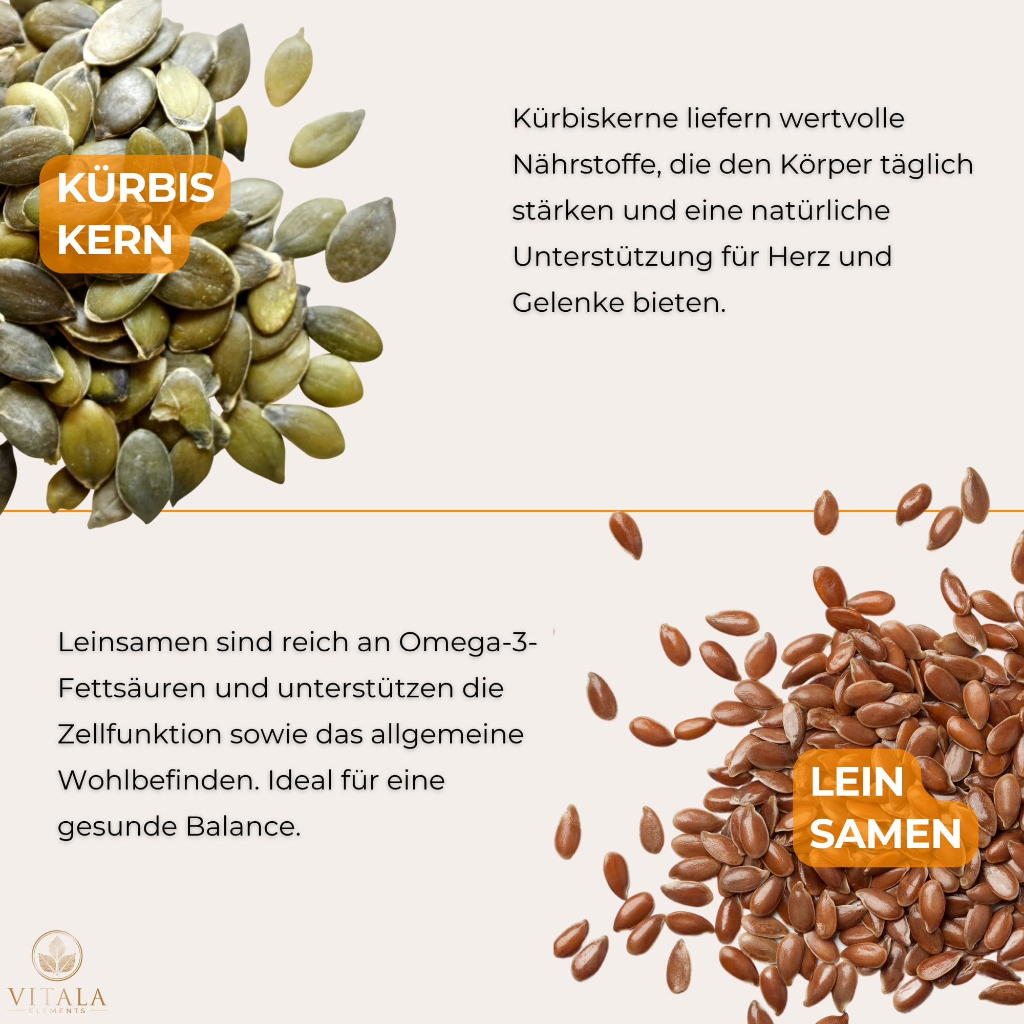 SHIELD+ enthält eine optimale Kombination aus Kürbiskern und Leinsamen, die für ihre positiven Eigenschaften auf das Immunsystem und die Herzgesundheit bekannt sind. Diese pflanzliche Nahrungsergänzung bietet eine natürliche Quelle von Omega-3-Fettsäuren, Antioxidantien und entzündungshemmenden Nährstoffen für ganzheitliches Wohlbefinden.